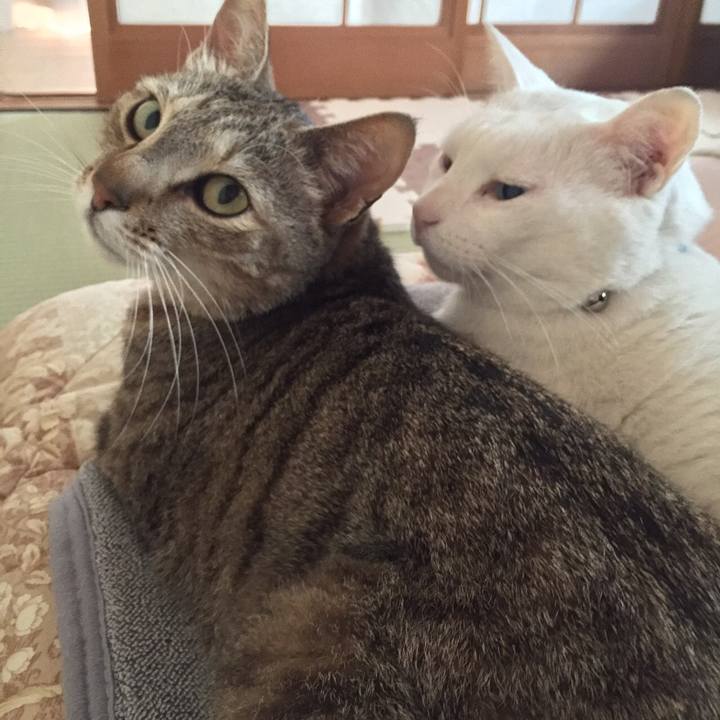 9b0ce962 015c 4096 84dc 444665c6cba8