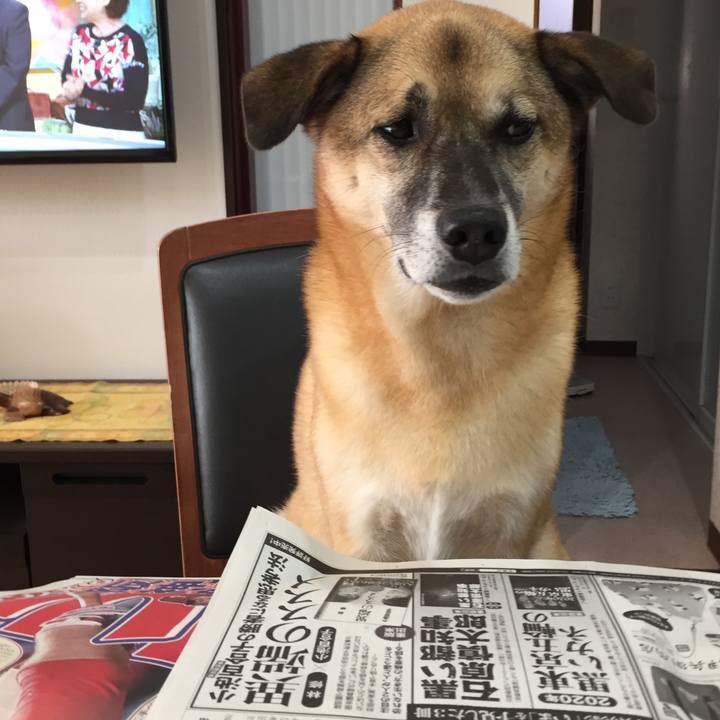 9b0cffeb 78de 4bc4 b145 1cfbed7ae693