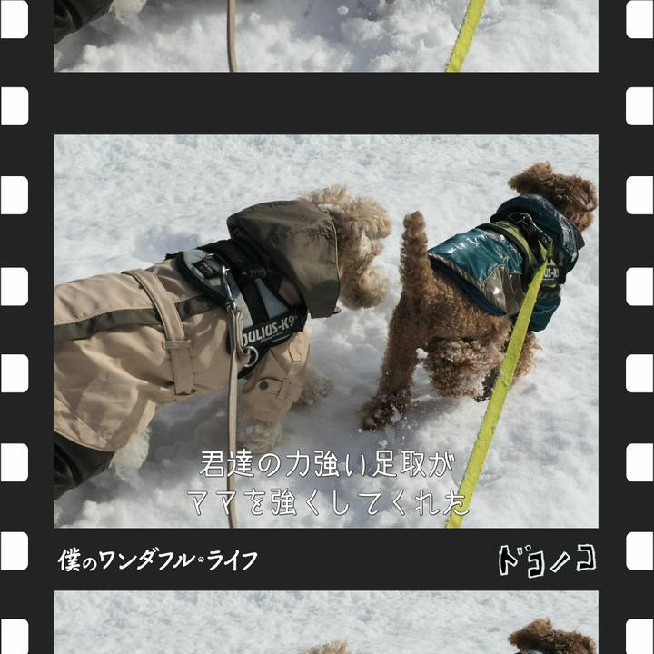 9b0d736c 8696 4c62 8440 88e93e151aff