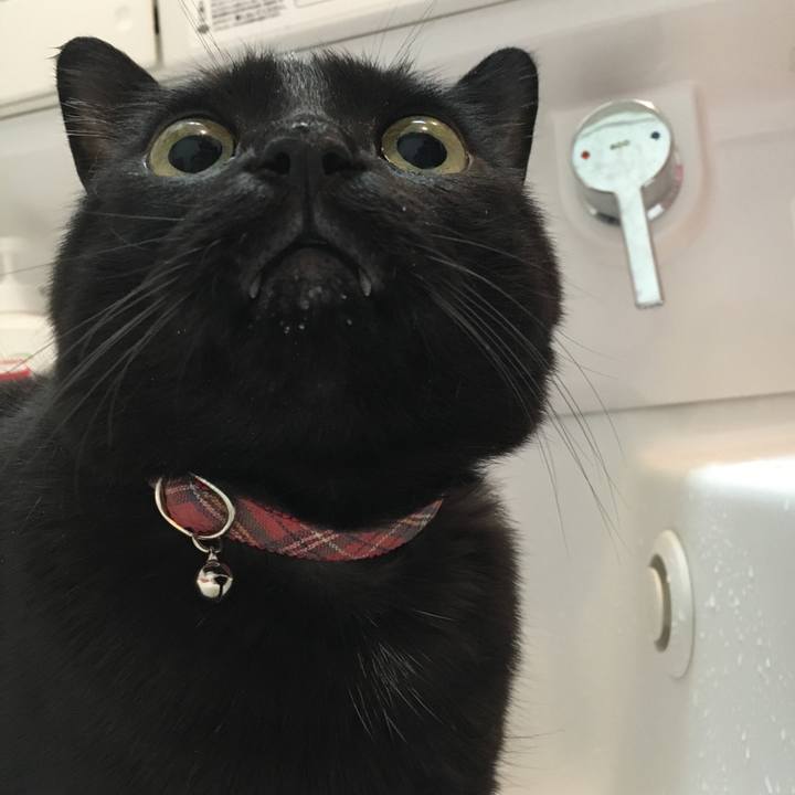 9b0d82a2 ee9d 44da b130 0612f3fc7078