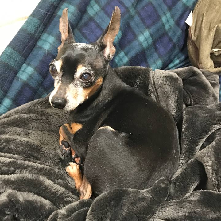 9b0de89c 5319 4495 9de6 42f27161959a