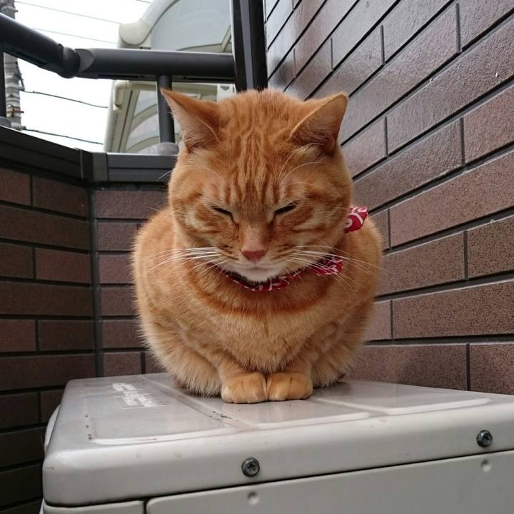 9b0e66f6 9c81 499c 897c 355ca53cfbd0