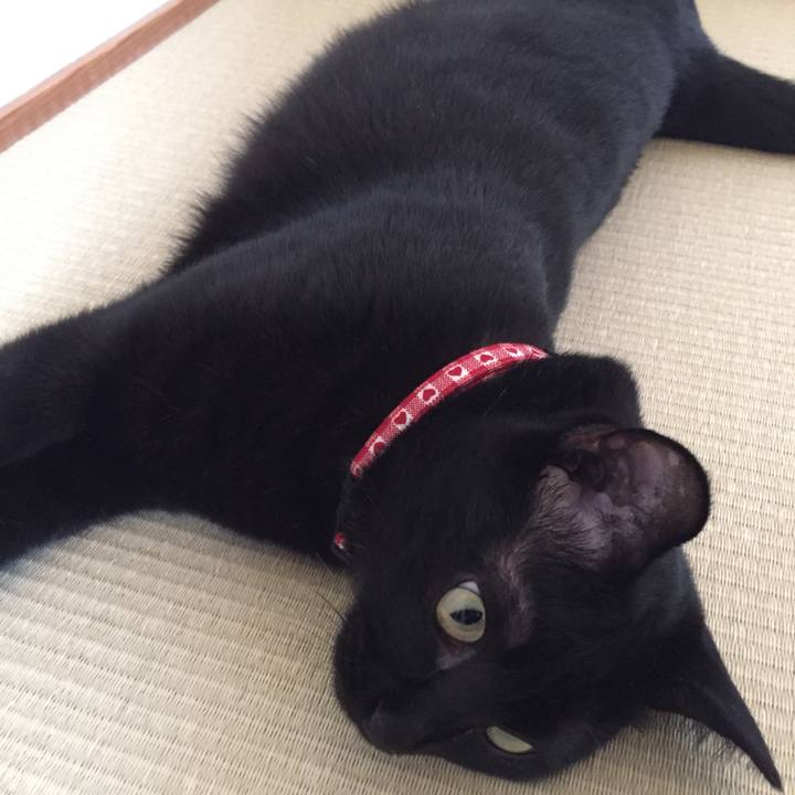 9b0ea8fa fc77 4c12 8d42 6a56fe2c7bc1