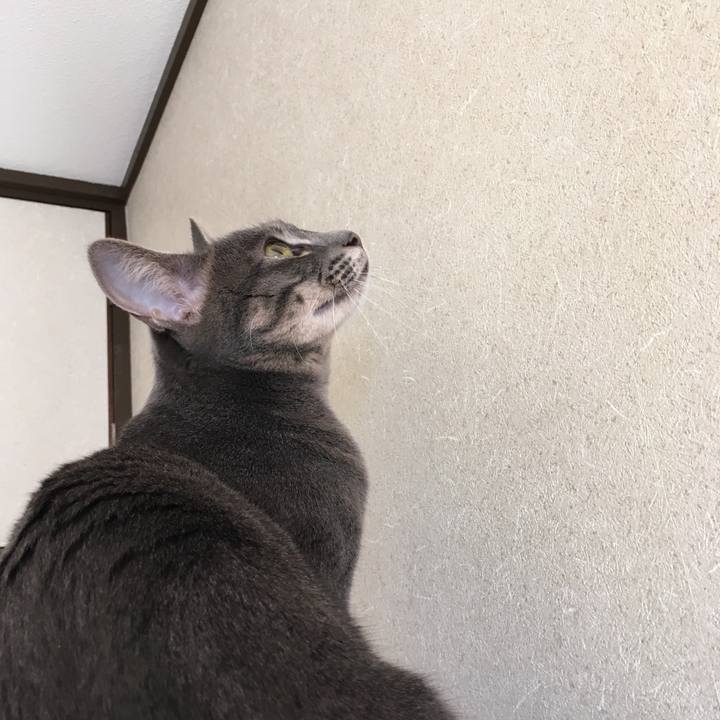 9b0f30b7 9e73 45b0 b3d7 832277ea7d10