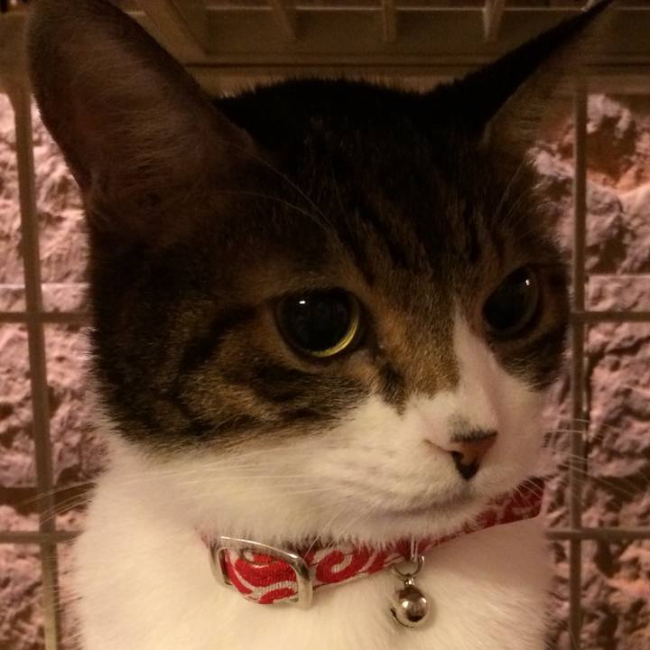 9b0f6f48 5f82 461d 9634 cb18c8302608