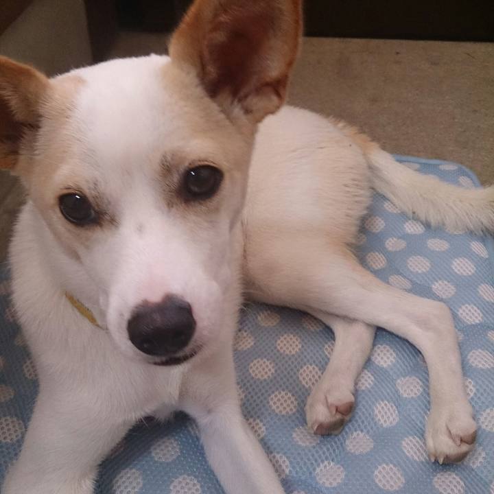 9b0fd28f 7016 4f34 99a1 ca06c68dbb62