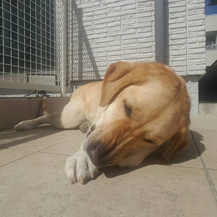 9b103760 566d 47ba ae15 5ced76b7b17e