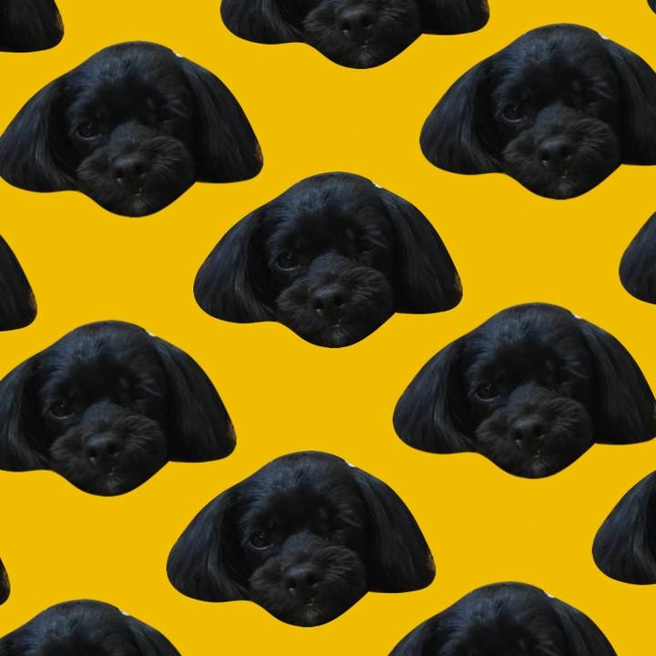 9b106300 2522 4ec1 9609 78059307ccca