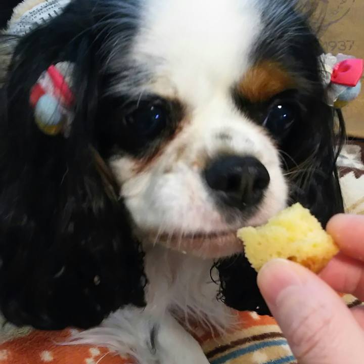 9b10c667 7d12 4365 94b9 e754783ee09d