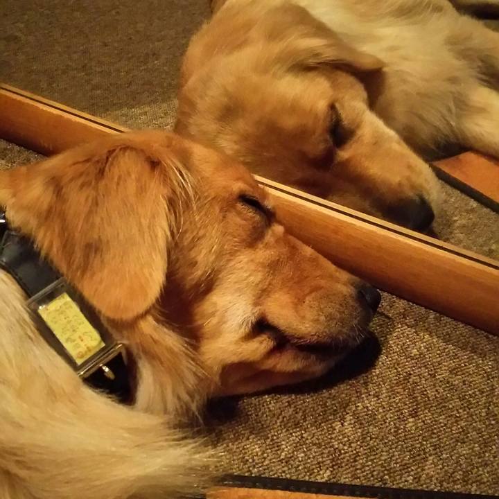 9b118dbb 2133 476e 8bd5 a22538b637af