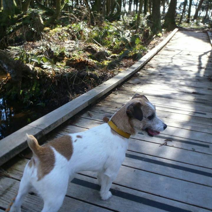 9b1192e1 4815 480a 90e6 1d072bf628ca