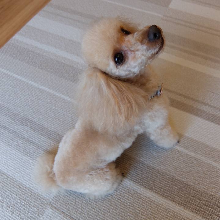 9b11da43 ba64 49b2 879c 0dca78e80d4e