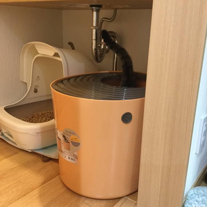 9b12be6d bd55 4e1e 989e 5eee79a909f5