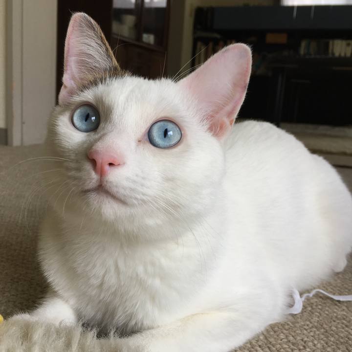 9b130c48 0fe6 494e b911 35810d4bebea