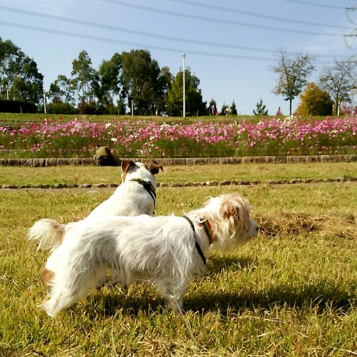 9b13545f 4872 4db3 83d0 59956e2e8ce8