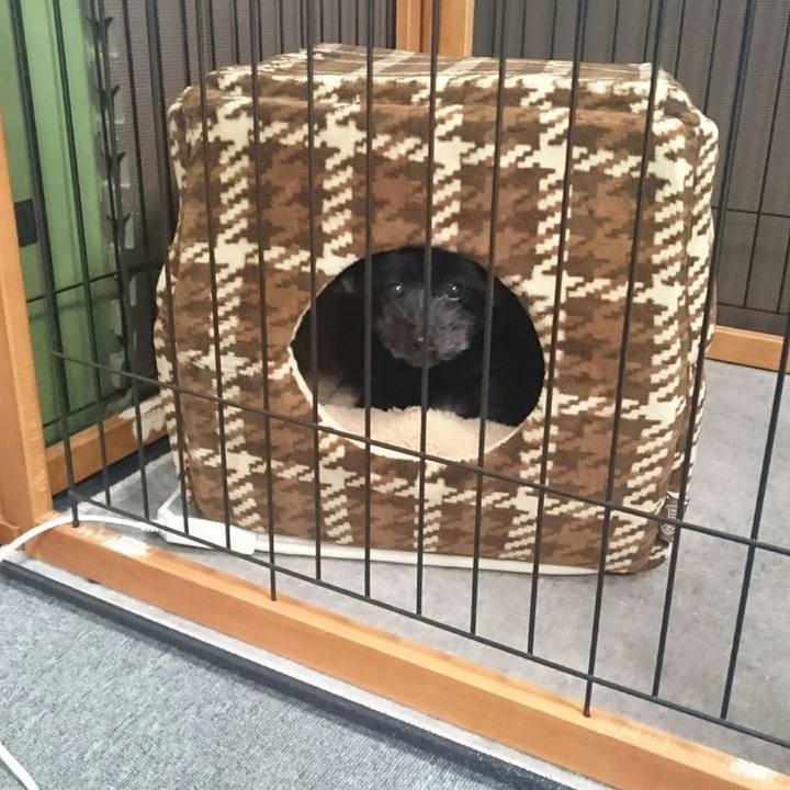 9b139b1c 8f7b 4873 b4ac dc6d611f92be