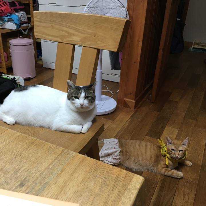 9b13e6e3 2993 47e5 8913 71d8d9f4893b