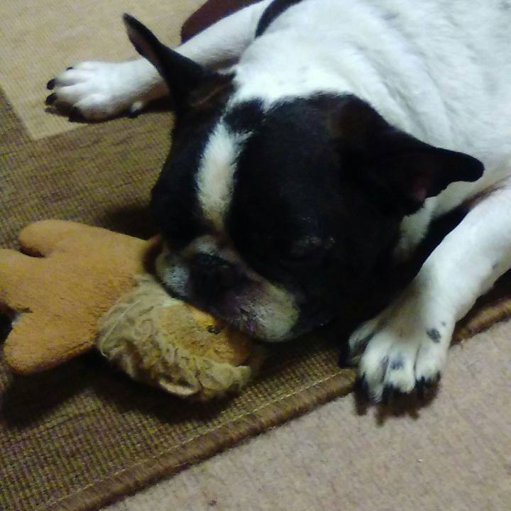 9b141336 633e 4cff 9bbc 06e4671f4c42