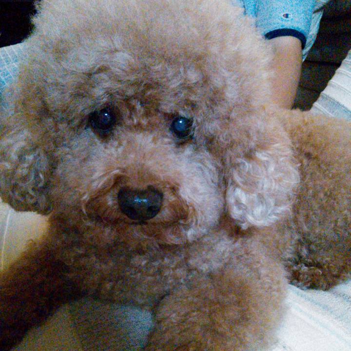 9b148741 fb07 4b87 bf86 20937a67f8f9