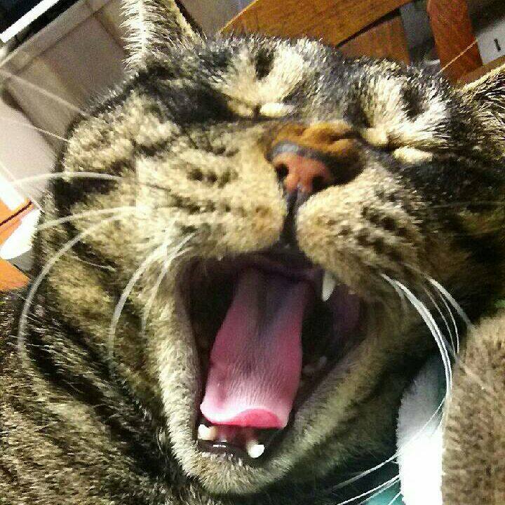 9b156d10 b03f 4321 aaa3 a181bed59e40