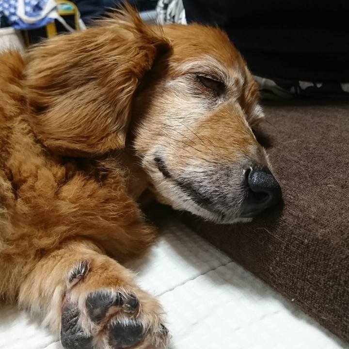 9b156f18 cf42 49a4 a03b 167353e47a03