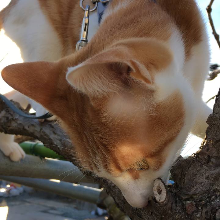 9b157194 1ab3 46b5 a29d 04aed83ead19