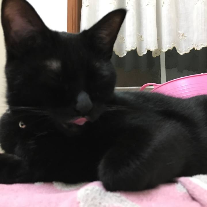 9b1598be 3aa2 4e58 a79c 342962ef384d