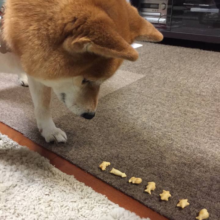 9b15bc73 fd7d 46ce 93e5 f82a393fa243