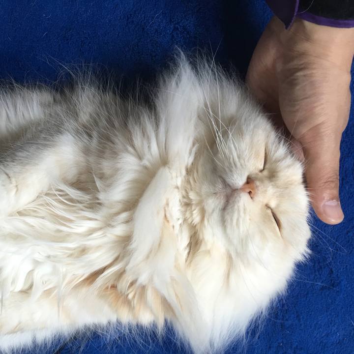 9b15d1b0 060b 45dd 8a5a 6abe50f07fc8