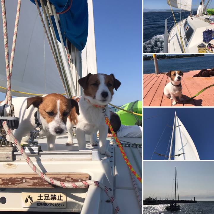 9b1607f3 26c0 4af1 9221 7b57d592ed7e