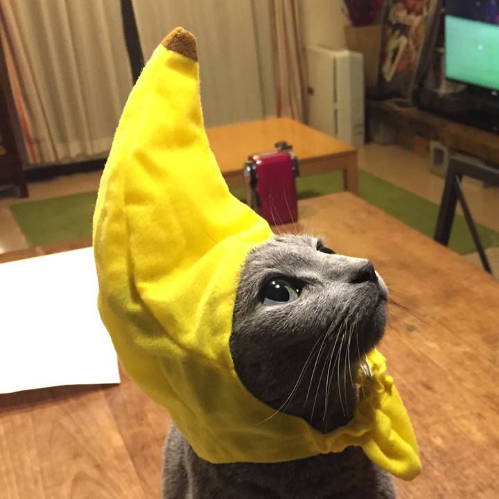 9b170810 aebc 427e bc14 5b5e7216afe2