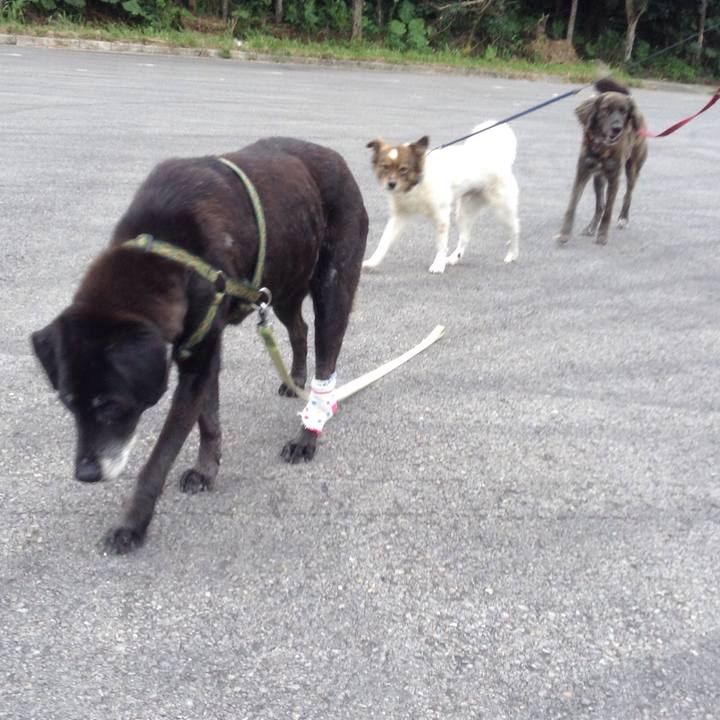 9b17f951 a230 4c66 9d5c 5d70d221d4fe