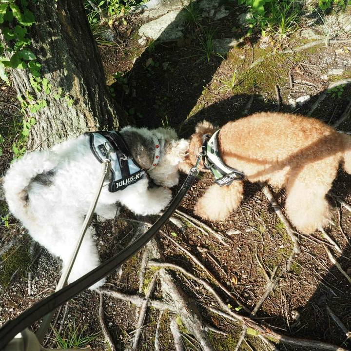 9b17fb80 2e3d 4f56 8191 f33800c8ccec