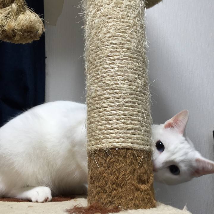 9b182410 653c 4a22 89ed 7f70435ea6cb