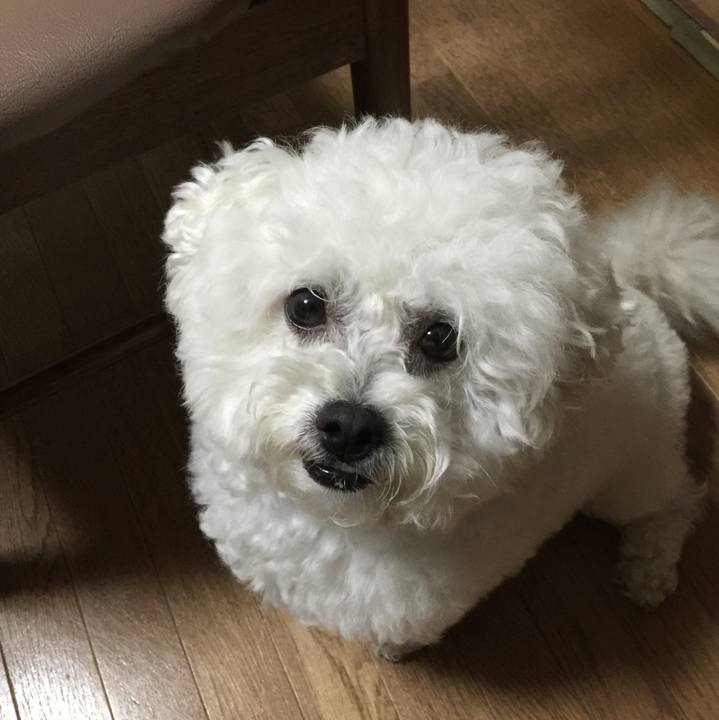 9b18268f 63e7 4417 be48 8c0c58ccbba0