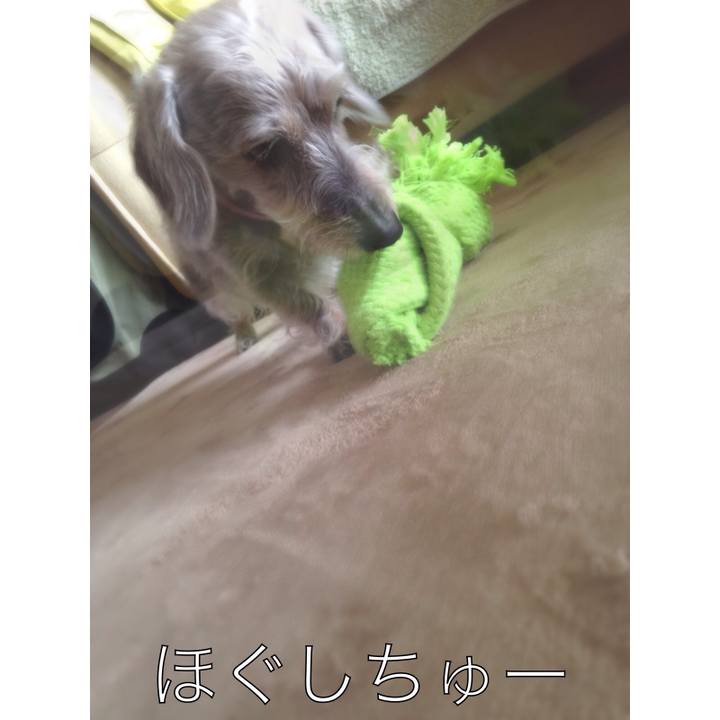 9b1842f6 85bc 49db aef3 7aa3b56c0624