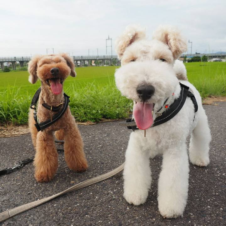 9b193cc4 f52b 46ca 8386 85b1605f04cb