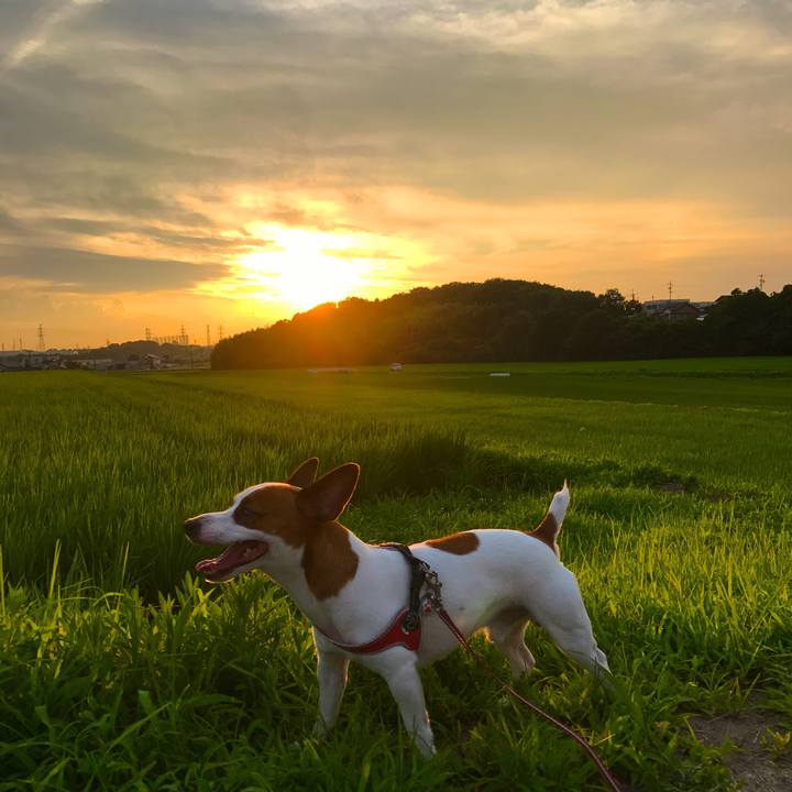 9b19e678 581c 4ca9 8d35 6848d2666ed5