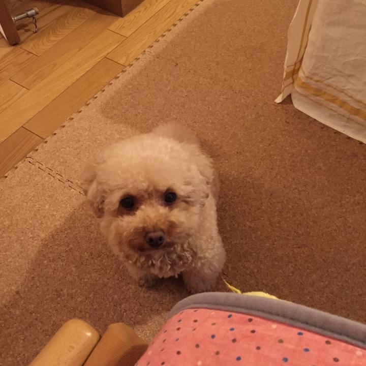 9b19fa4c a016 4902 99b8 d3119ccaa08e