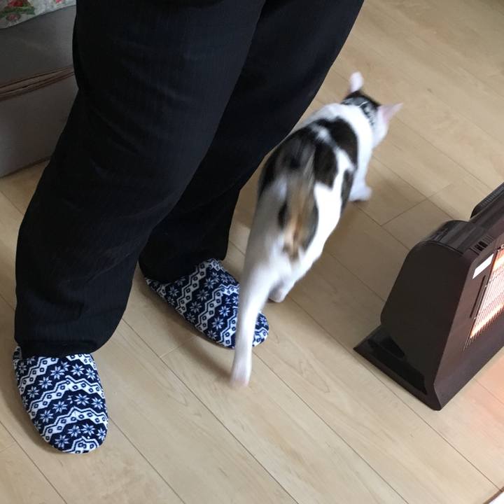 9b1a873c 2953 4b7b b25e 09023957e437