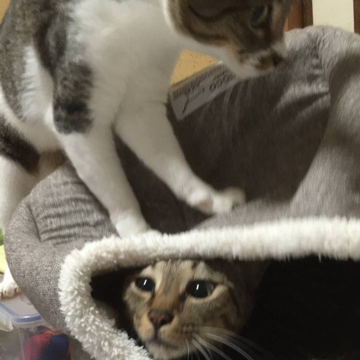 9b1ac644 6fba 440c b3f7 6d402683ce61