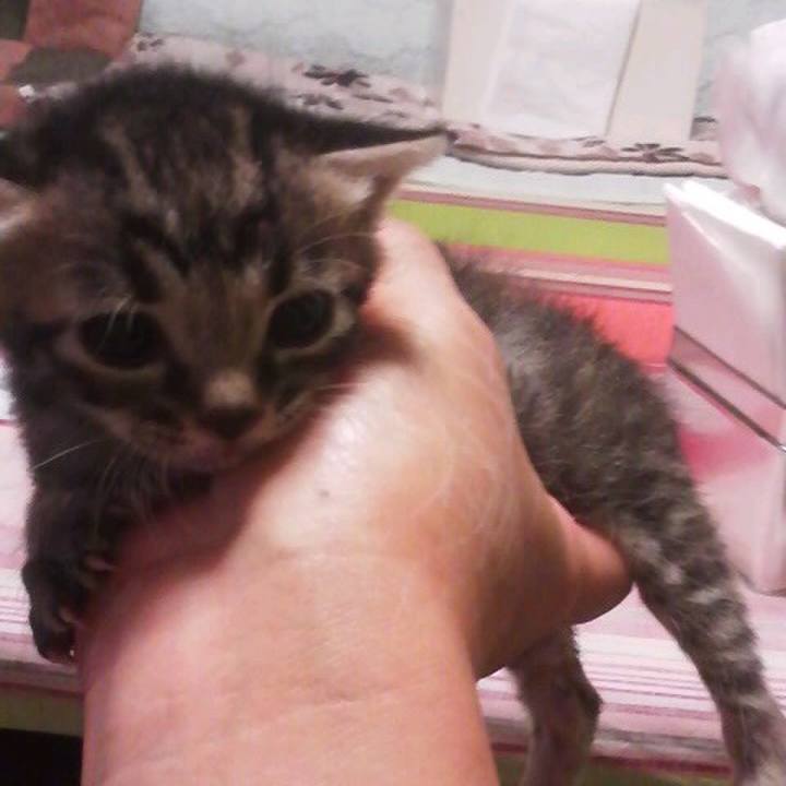 9b1afaf1 cfdb 46bd 909b 6a03e840aef3