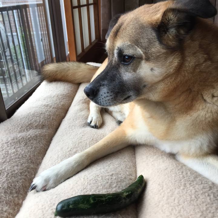 9b1b4e85 4c01 45c6 9e49 e1001554e623