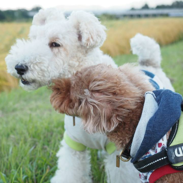 9b1bbe1b f3bb 4ea6 9e41 6d790fa439cb