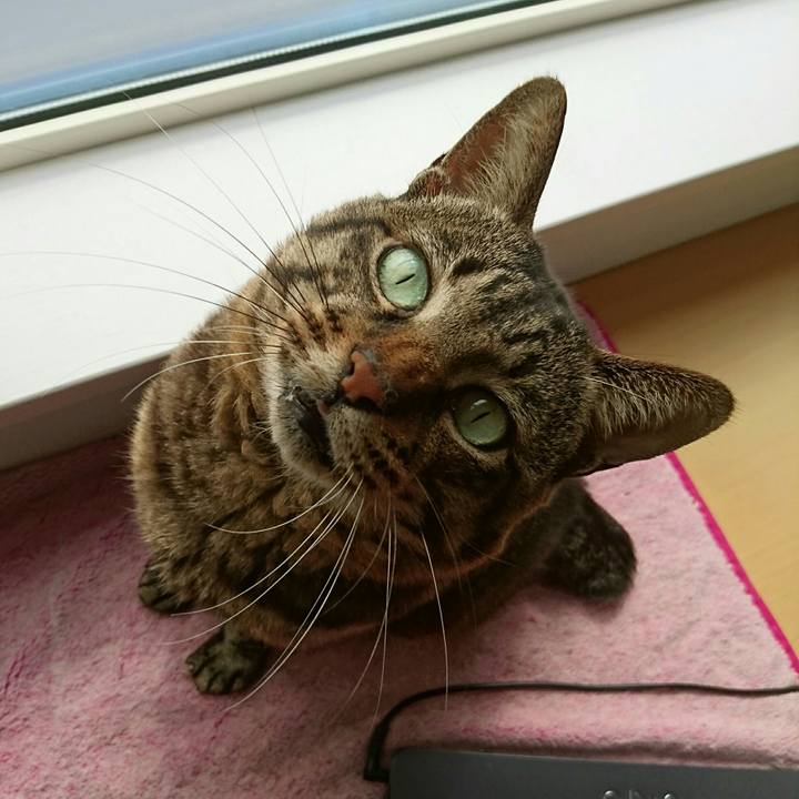 9b1e3b50 212f 4bd2 99a5 2f645f1cb3a1