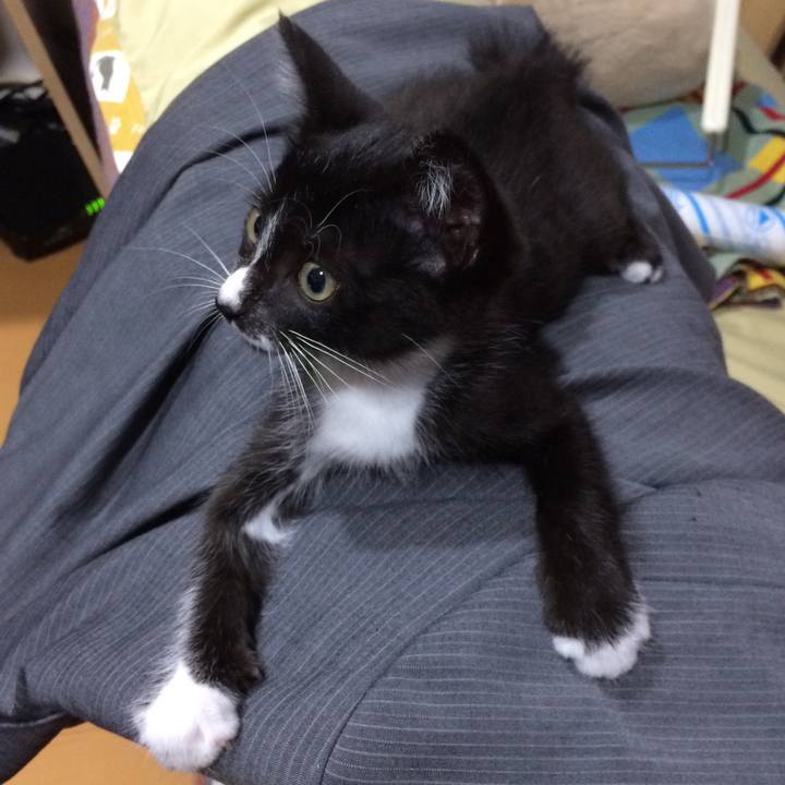 9b1e8b7c ddff 49e8 8f02 082a2fdabea2