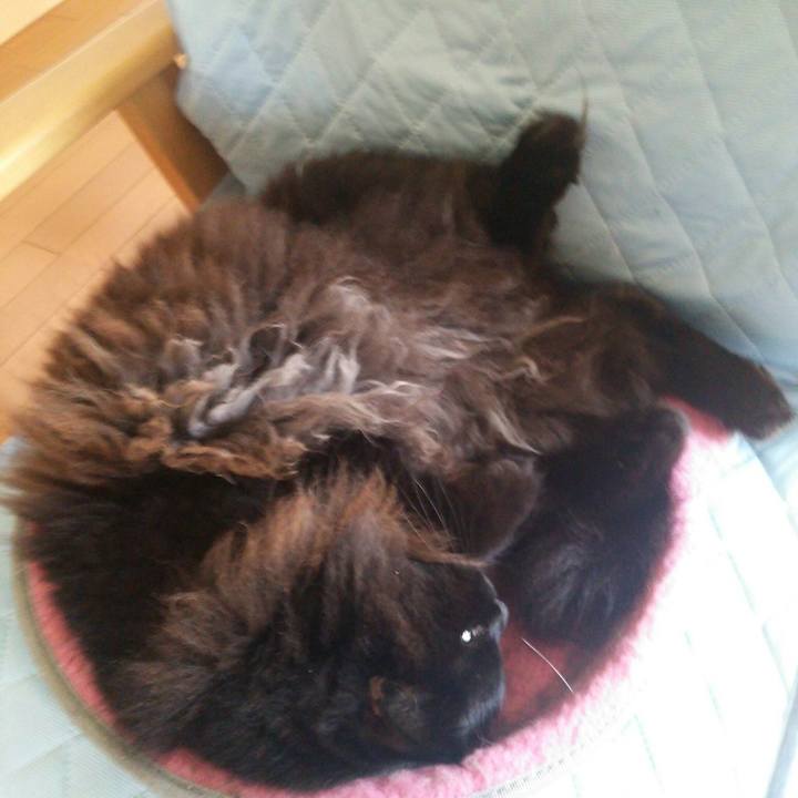 9b1ea561 3262 47a0 a0be 99d03de3d39c