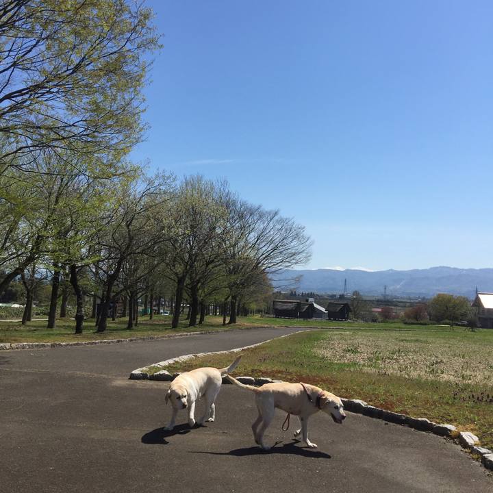 9b1eda4f 9c42 45cc a679 468db086b0b1