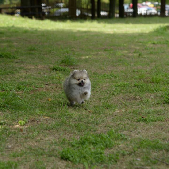 9b1f0a36 fb3b 4283 816a e90fbc8de87e