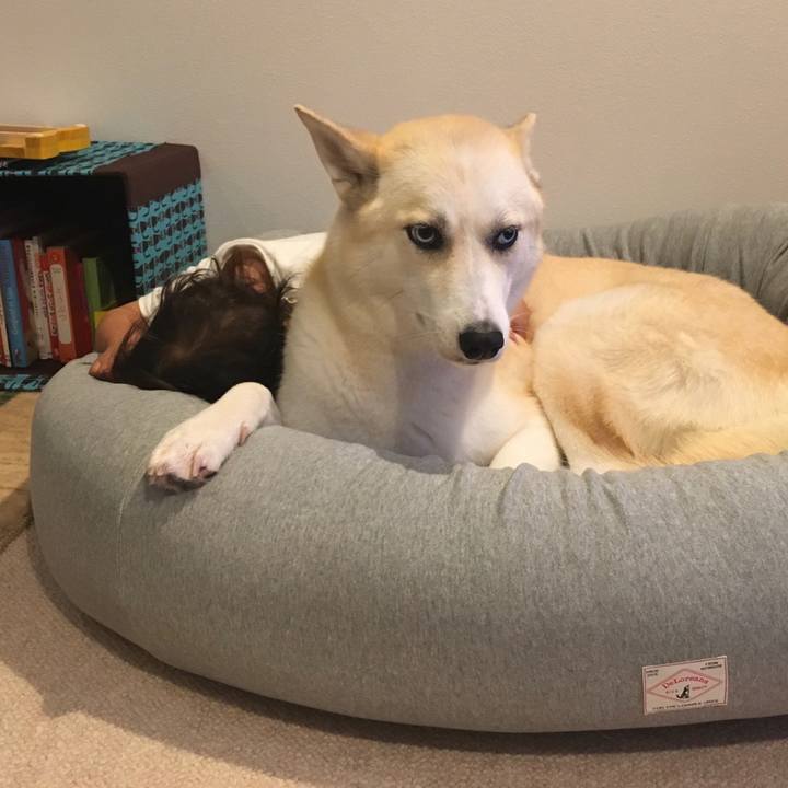 9b1f1c4f d306 486d b45c d30c5162a7bd